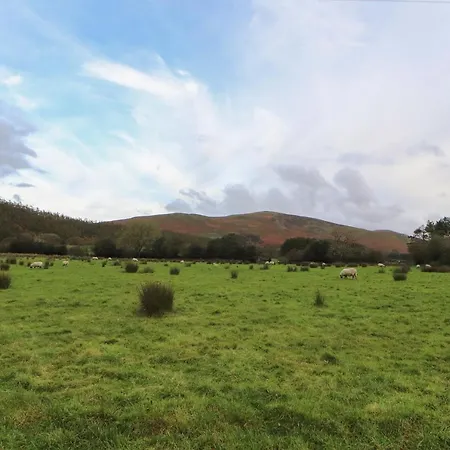 Kestrel * Keswick (Cumbria)